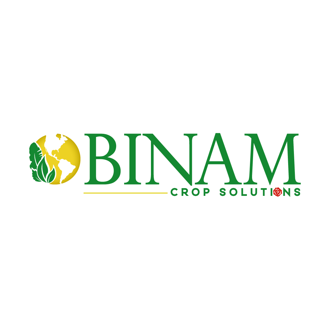 Logo-Binam