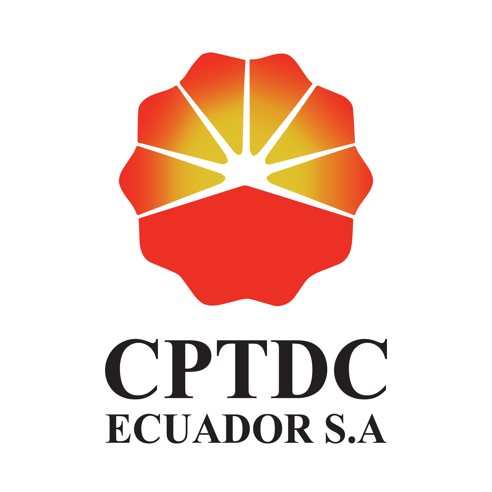 CHINA PETROLEUM TECHNOLOGY